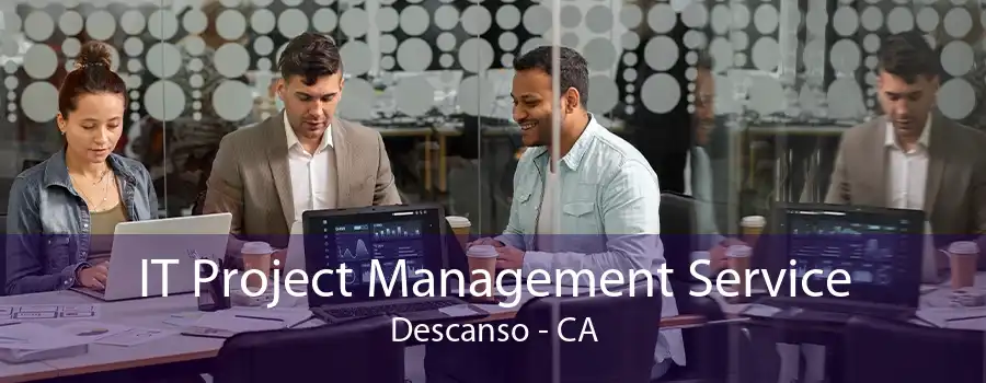 IT Project Management Service Descanso - CA