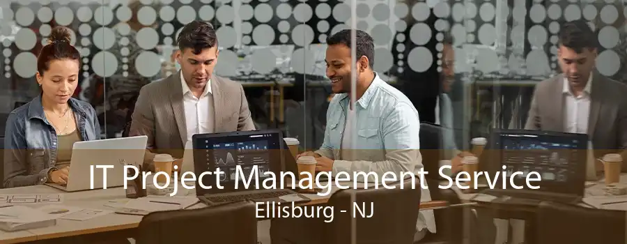 IT Project Management Service Ellisburg - NJ