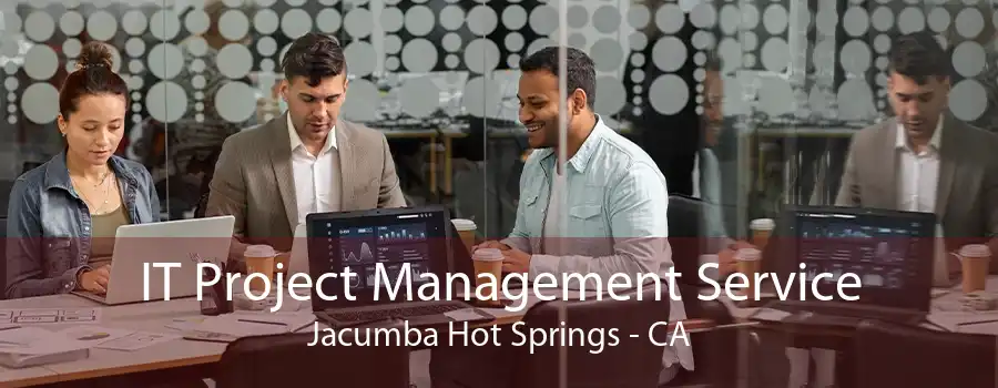 IT Project Management Service Jacumba Hot Springs - CA