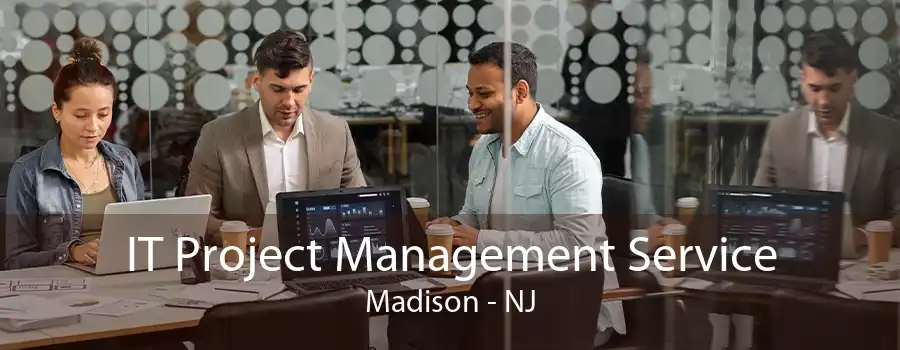 IT Project Management Service Madison - NJ