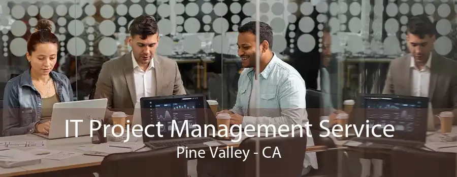 IT Project Management Service Pine Valley - CA