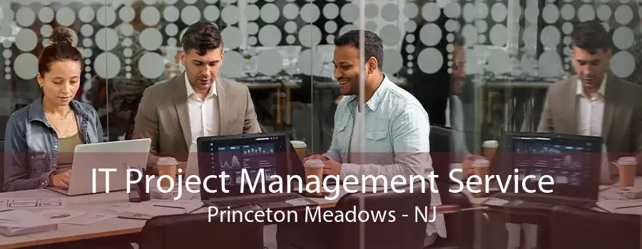 IT Project Management Service Princeton Meadows - NJ