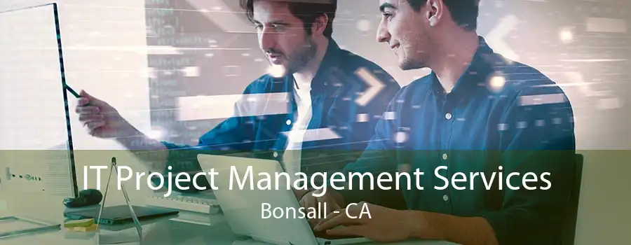 IT Project Management Services Bonsall - CA