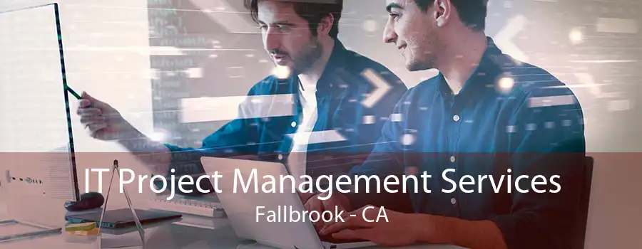 IT Project Management Services Fallbrook - CA