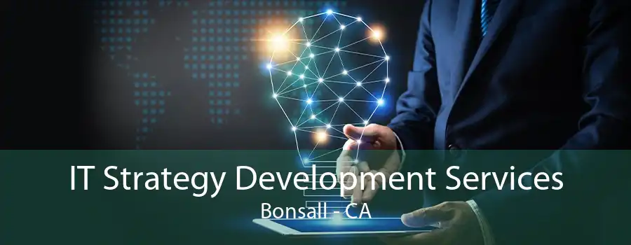 IT Strategy Development Services Bonsall - CA