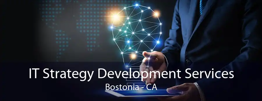 IT Strategy Development Services Bostonia - CA