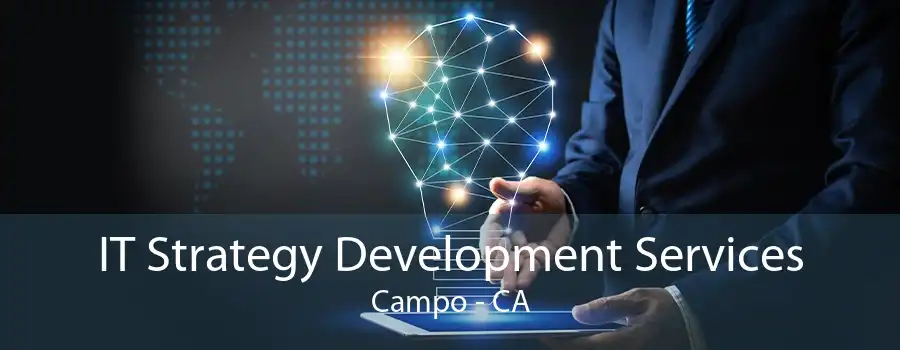 IT Strategy Development Services Campo - CA