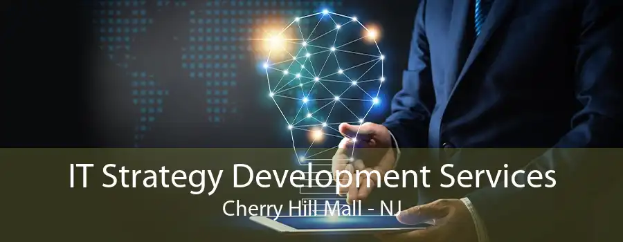 IT Strategy Development Services Cherry Hill Mall - NJ