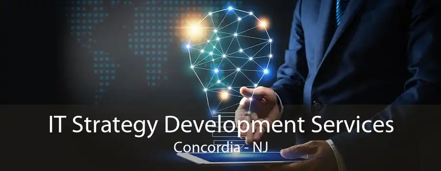 IT Strategy Development Services Concordia - NJ