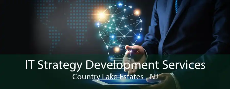 IT Strategy Development Services Country Lake Estates - NJ