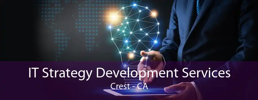 IT Strategy Development Services Crest - CA