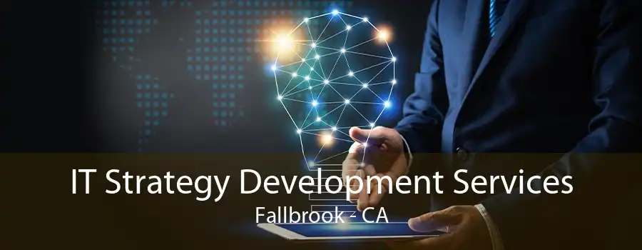 IT Strategy Development Services Fallbrook - CA