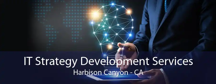 IT Strategy Development Services Harbison Canyon - CA