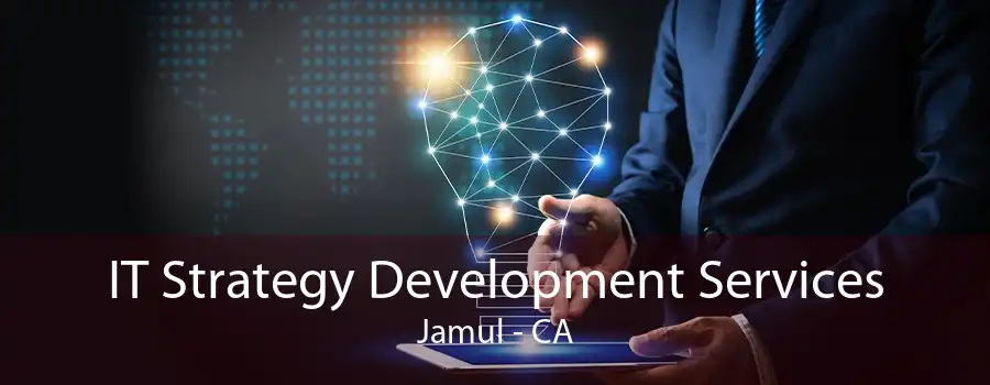 IT Strategy Development Services Jamul - CA