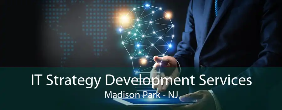 IT Strategy Development Services Madison Park - NJ