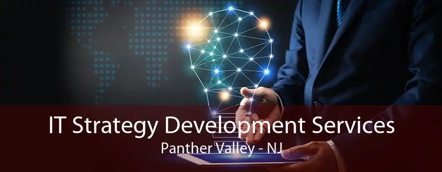 IT Strategy Development Services Panther Valley - NJ