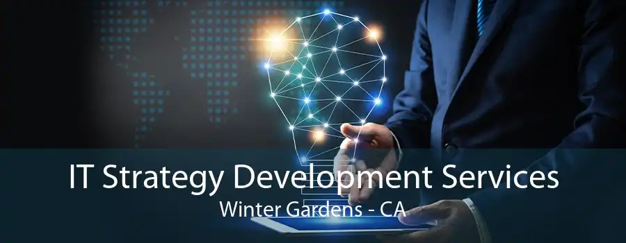 IT Strategy Development Services Winter Gardens - CA