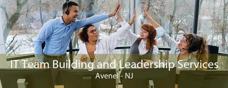 IT Team Building and Leadership Services Avenel - NJ