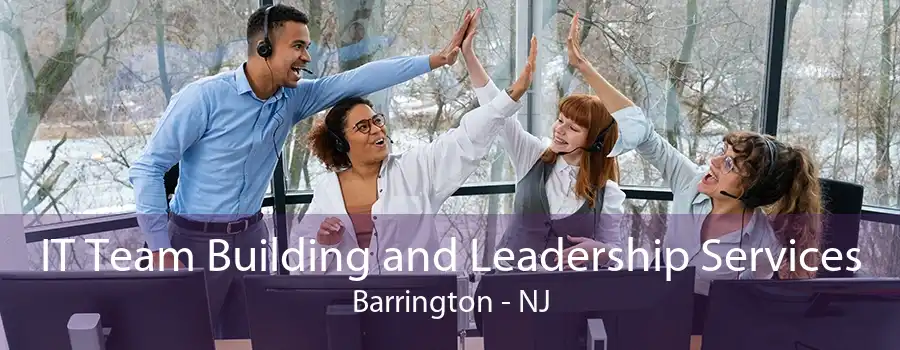 IT Team Building and Leadership Services Barrington - NJ