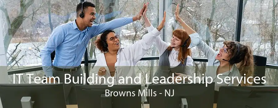 IT Team Building and Leadership Services Browns Mills - NJ