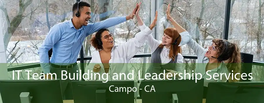 IT Team Building and Leadership Services Campo - CA