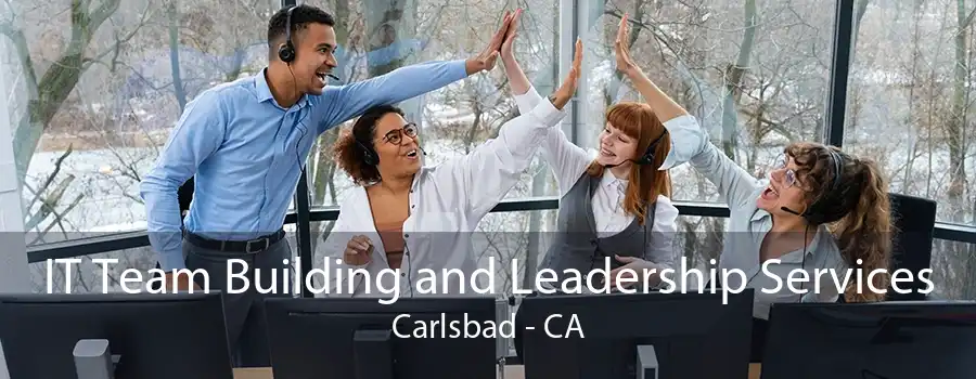 IT Team Building and Leadership Services Carlsbad - CA