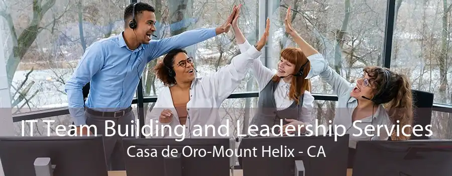 IT Team Building and Leadership Services Casa de Oro-Mount Helix - CA