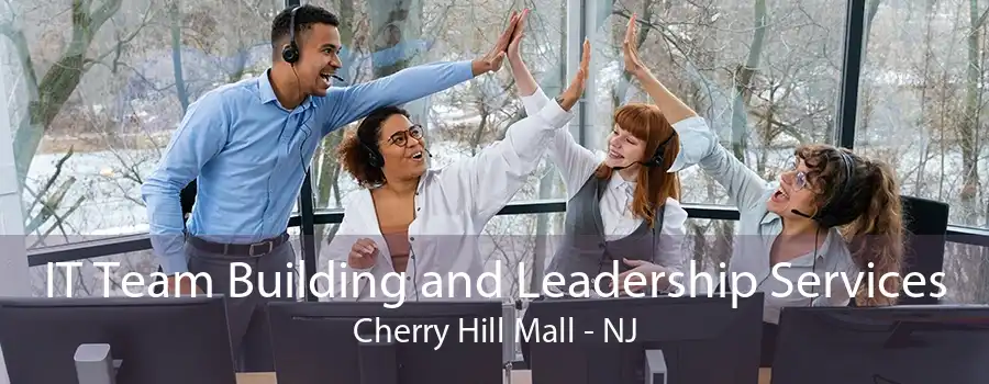 IT Team Building and Leadership Services Cherry Hill Mall - NJ