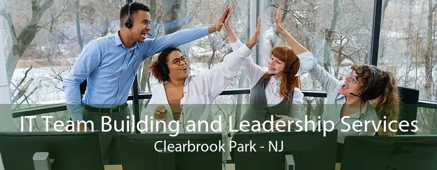 IT Team Building and Leadership Services Clearbrook Park - NJ