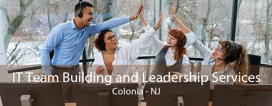 IT Team Building and Leadership Services Colonia - NJ