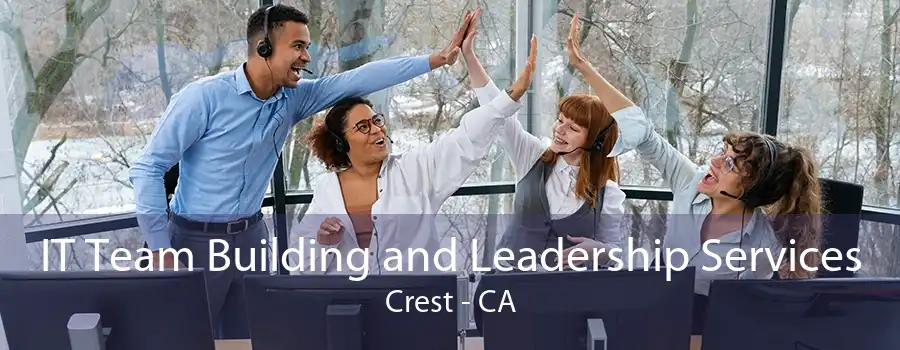 IT Team Building and Leadership Services Crest - CA