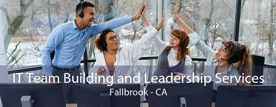 IT Team Building and Leadership Services Fallbrook - CA