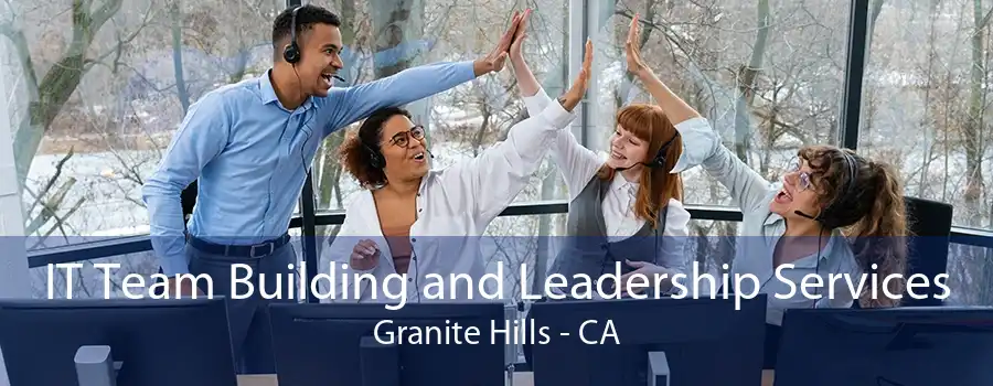 IT Team Building and Leadership Services Granite Hills - CA