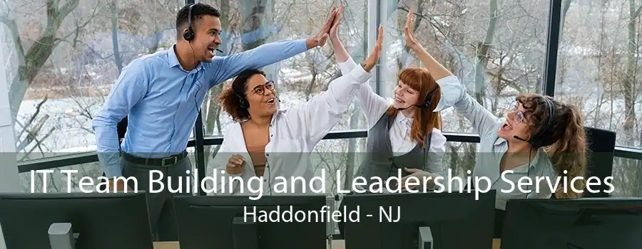 IT Team Building and Leadership Services Haddonfield - NJ