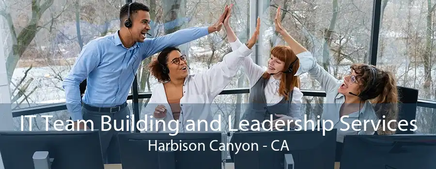 IT Team Building and Leadership Services Harbison Canyon - CA