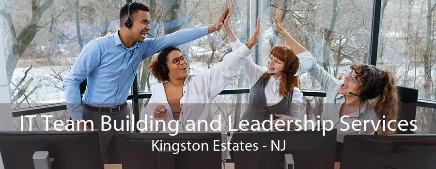 IT Team Building and Leadership Services Kingston Estates - NJ