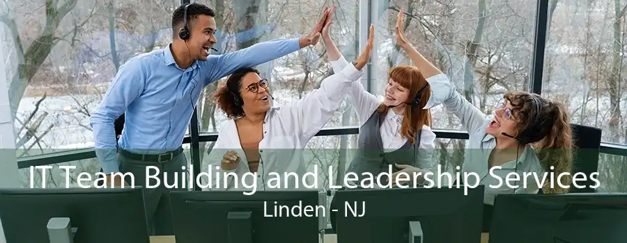 IT Team Building and Leadership Services Linden - NJ