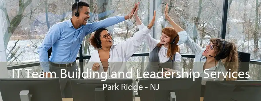 IT Team Building and Leadership Services Park Ridge - NJ