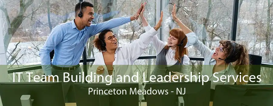 IT Team Building and Leadership Services Princeton Meadows - NJ