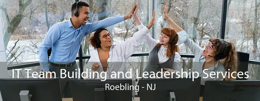 IT Team Building and Leadership Services Roebling - NJ