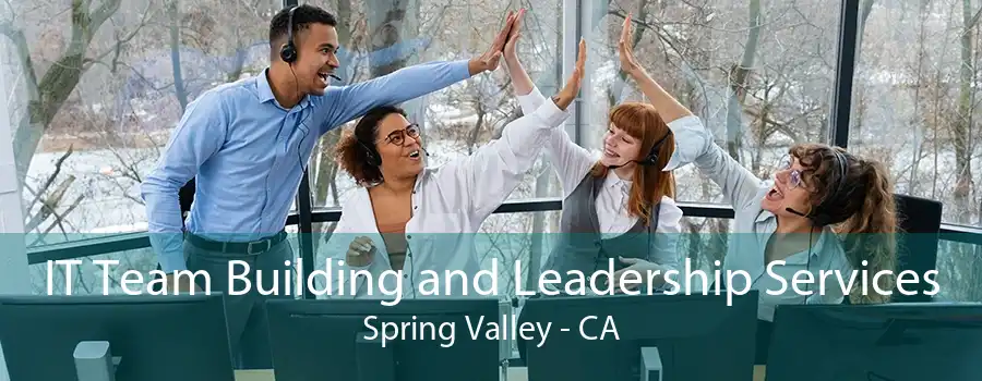 IT Team Building and Leadership Services Spring Valley - CA