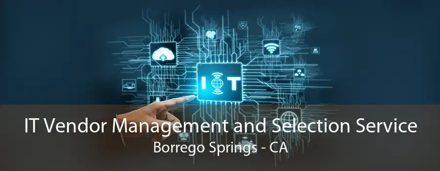 IT Vendor Management and Selection Service Borrego Springs - CA