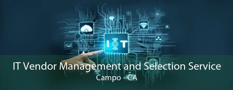 IT Vendor Management and Selection Service Campo - CA