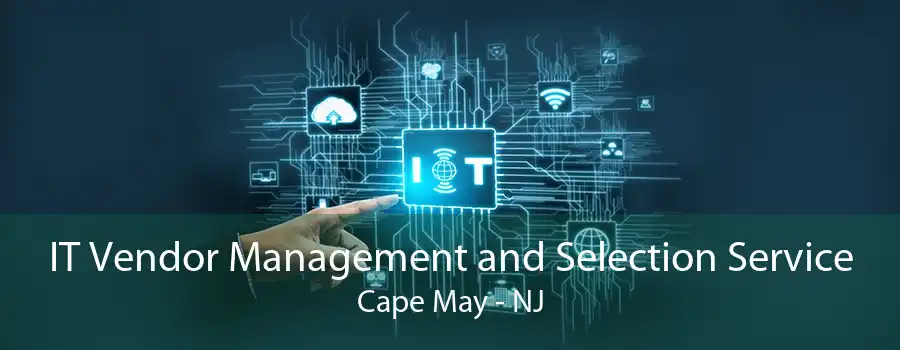 IT Vendor Management and Selection Service Cape May - NJ