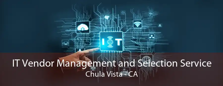 IT Vendor Management and Selection Service Chula Vista - CA