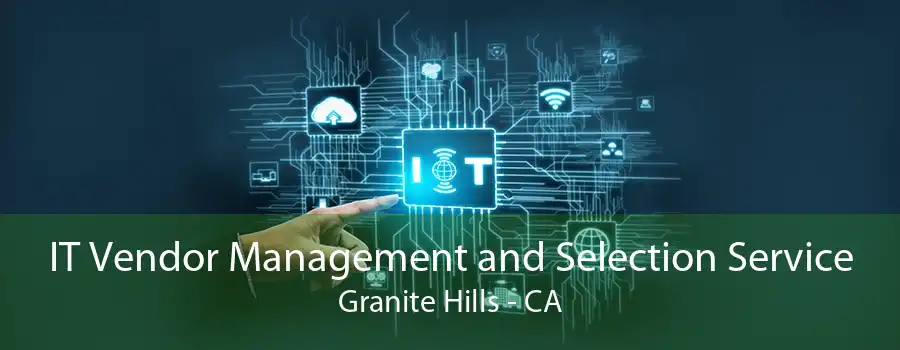 IT Vendor Management and Selection Service Granite Hills - CA