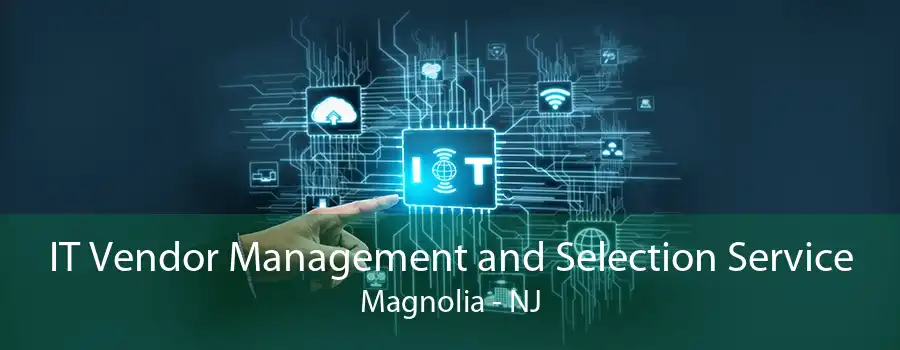 IT Vendor Management and Selection Service Magnolia - NJ