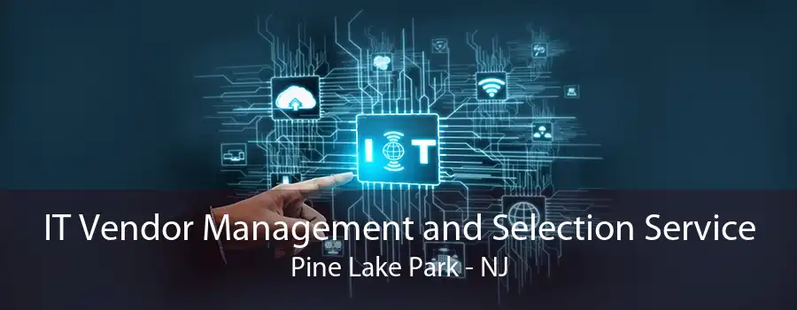 IT Vendor Management and Selection Service Pine Lake Park - NJ