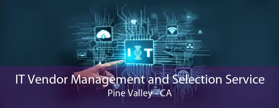 IT Vendor Management and Selection Service Pine Valley - CA