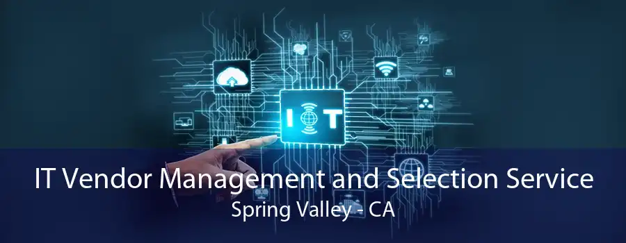 IT Vendor Management and Selection Service Spring Valley - CA